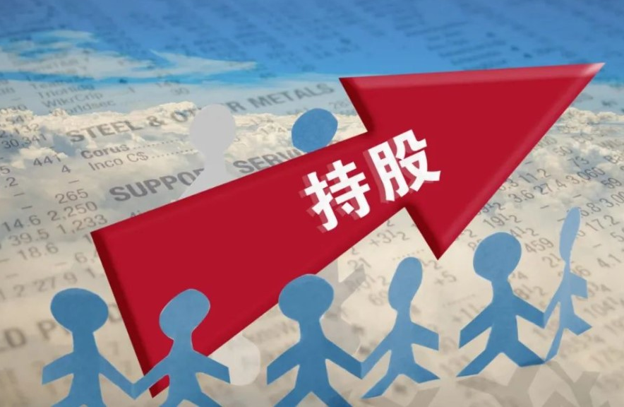 配资炒股网选：助你把握投资先机