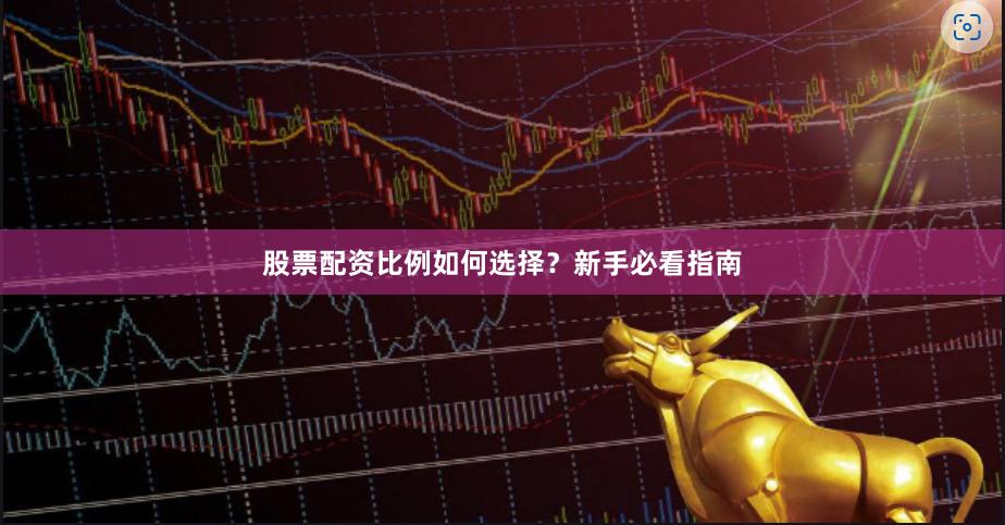 股票配资比例如何选择？新手必看指南
