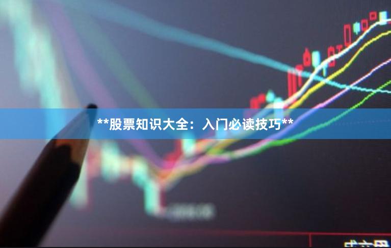 **股票知识大全：入门必读技巧**