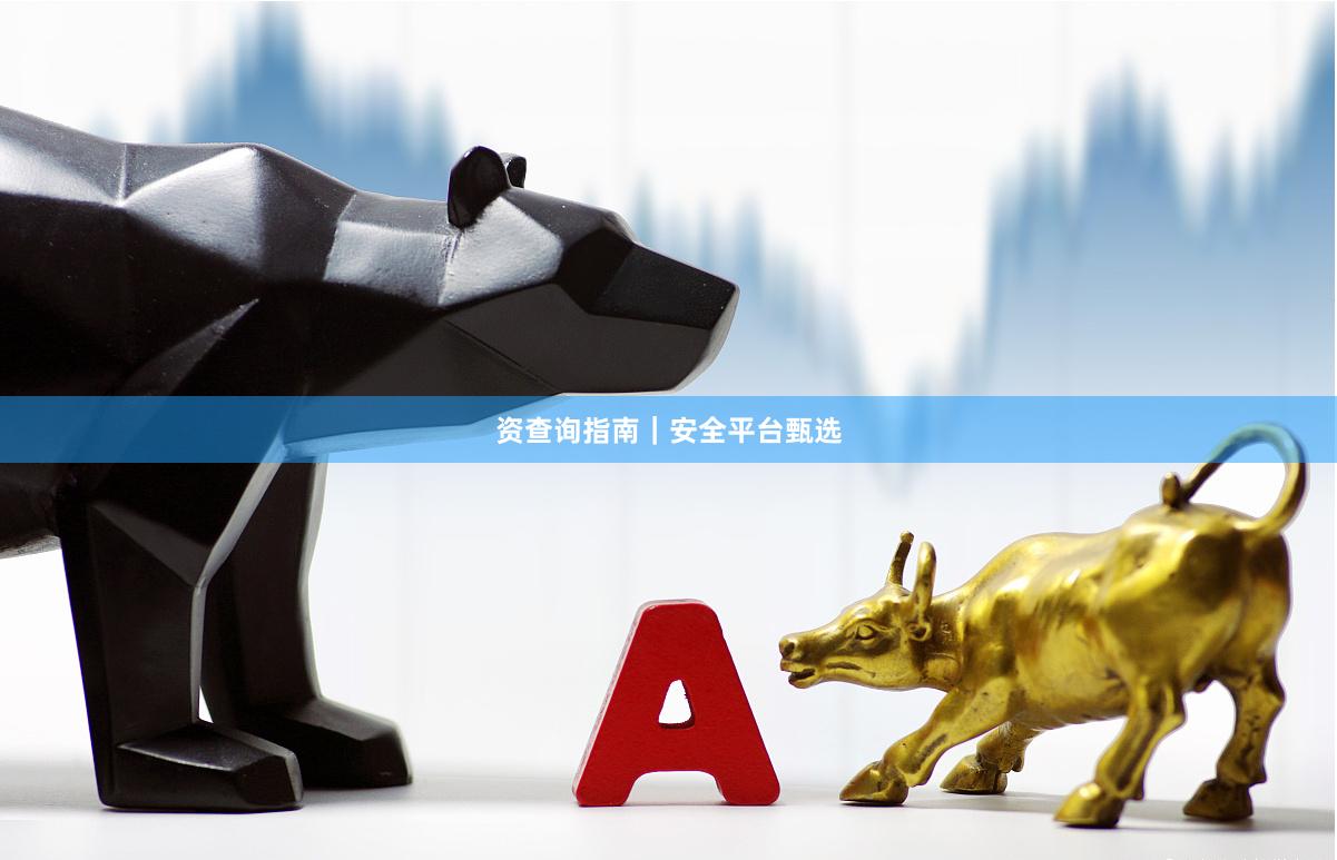 资查询指南｜安全平台甄选